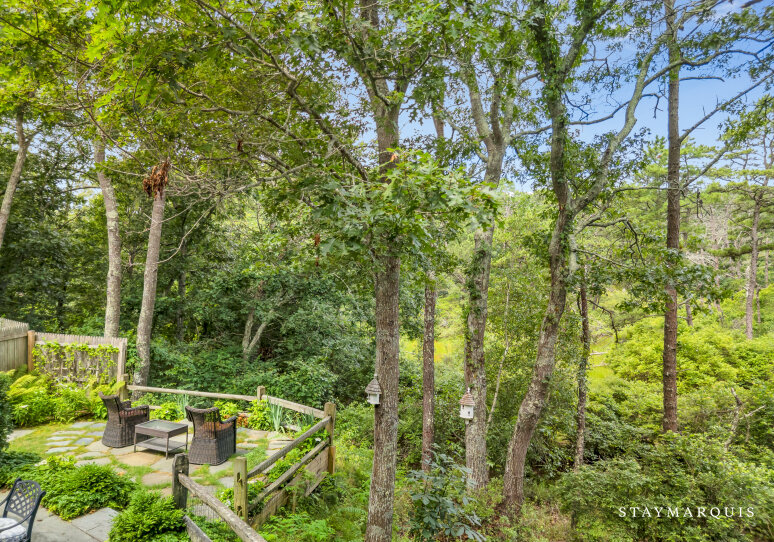 Back Deck